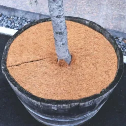 3 Coconut Mulching-skivor 30 cm Kokosfibermatta Kokosfiber Växtskyddsmatta Kokosnöt