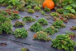 Best 104 m² Ogräsbekämpningsmembran Ogräsfoder Mulchliner 100 g 1 m bred Svart Markduk & Fiberduk