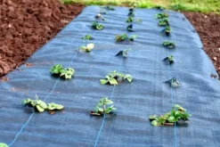 136 m² Ogräsbekämpningsmembran Ogräsfoder Mulchliner 100 g 1 m bred Svart