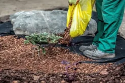 84 m² Trädgårdsfleece Ogräsbekämpningstyg Ogräsfoder Mulchfoder Mulchtyg 150 g 2 m bred