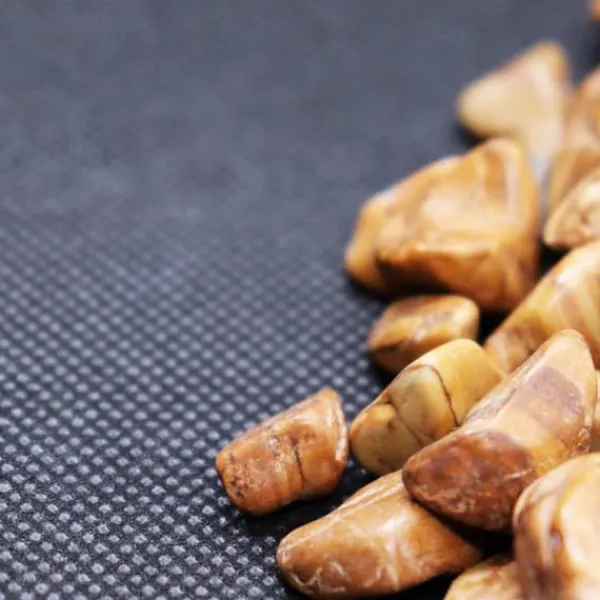 Hot 5 m² Trädgårdsfleece Ogräsbekämpningstyg Ogräsfoder Mulchfoder Mulchtyg 150 g/m² 1 m bred Markduk & Fiberduk