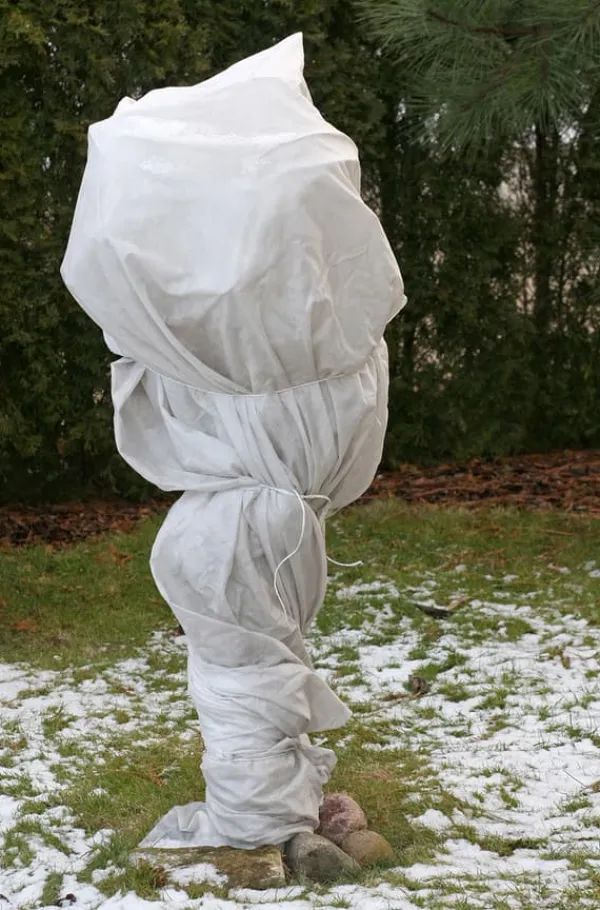 54 m² Vinterskyddsfleece Isolerande trädgårdsfleece Frostskyddsfleece 80 g 1,8 m bred Markduk & Fiberduk