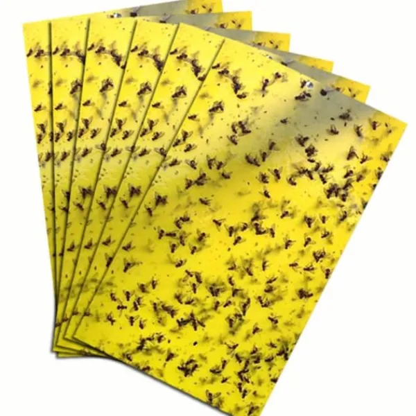 20 st 20*10 cm myggflugefällor, dubbelsidiga fruktflugefällor för inomhus- och utomhusväxter, gula