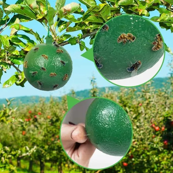 10 st fruktflugfälla med klibbig knottdödare fruktflugfällor Effektiv flugfångare Insektsfälla för inomhus utomhuskök