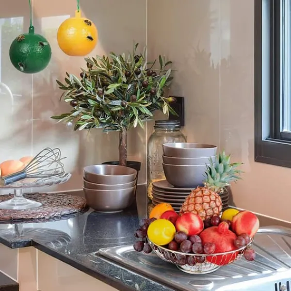 10 st fruktflugfälla med klibbig knottdödare fruktflugfällor Effektiv flugfångare Insektsfälla för inomhus utomhuskök