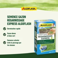 ALGOFLASH - Express påfyllning av gräsmattor 5 dagar 1 kg