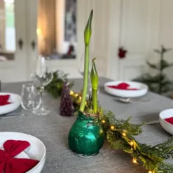 Best Amaryllis - Hippeastrum 'Glittrande Duo' - Röd och Grön Fröer & Lökar