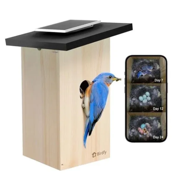 Ansluten Matare - Birdfy Ebony Lite - HD 1080P Kamera - Solpanel - AI för Fågelidentifiering