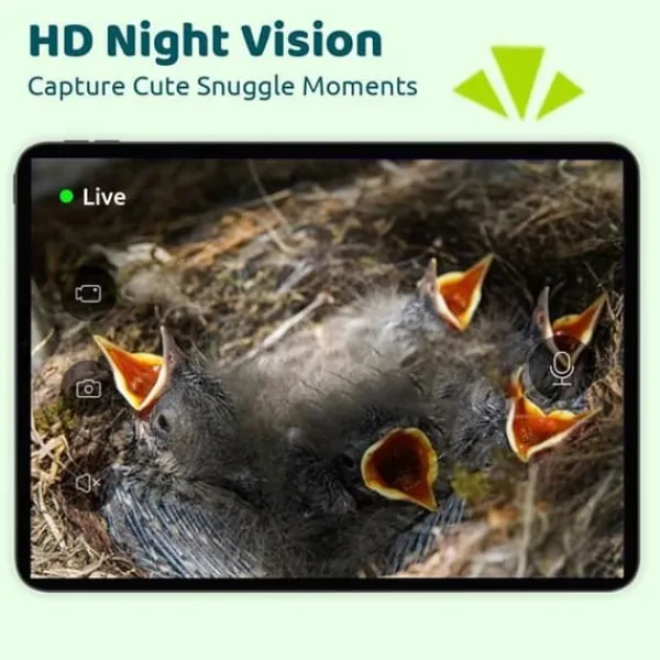 Ansluten Matare - Birdfy Ebony Lite - HD 1080P Kamera - Solpanel - AI för Fågelidentifiering