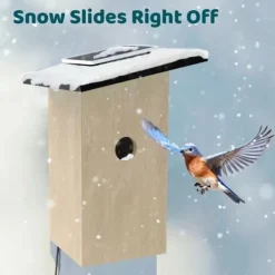 Ansluten Matare - Birdfy Ebony Lite - HD 1080P Kamera - Solpanel - AI för Fågelidentifiering