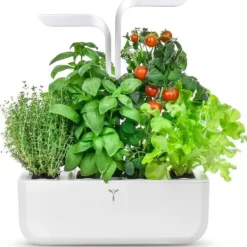 Automatisk kruka - ÄKTA - KLASSISK - Vit - 45 cm x 33 cm - 4 såddar Kit För Växt- & Örtplantering