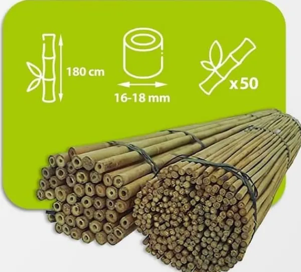 Clearance Bambupålar, bambustänger 180 cm 16/18 mm 50 st/ Krukor & Växtbehållare