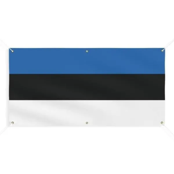 Hot Banner Flag of Estonia 6 öljetter 70x140cm i polyester Flaggor & Vindstrutar