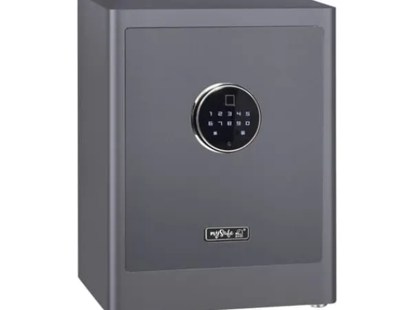 BASI mySafe Premium 450, Fristående kassaskåp, Grå, Kod, Elektronisk, Fingeravtrycksläsare, Vägg, 1 galler, Batteri