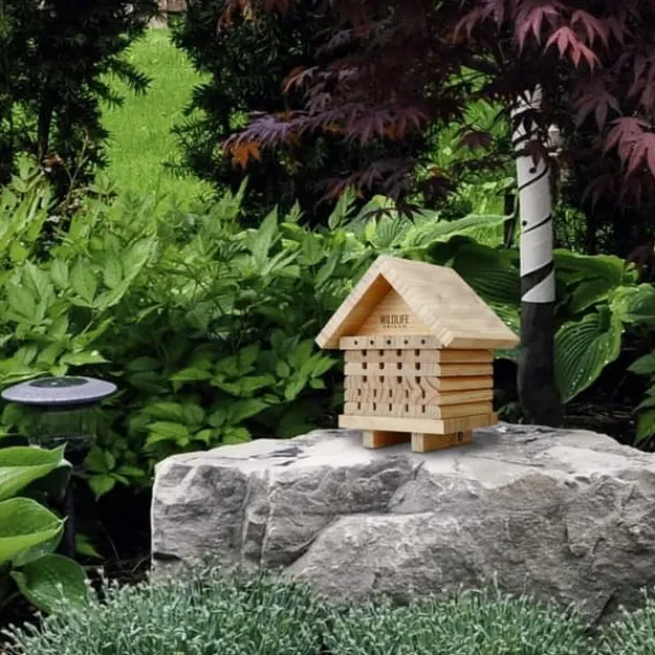 Bihotell Furuträ 2-pack WILDLIFE FRIEND