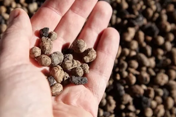 BIOVITA GARDENING EXPANDERAD LERA idealisk för dränering 8-16MM 2L
