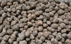 Sale BIOVITA GARDENING EXPANDED GRAPE idealisk för dränering 8-16MM 5L Jord & Sand