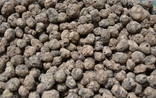 Sale BIOVITA GARDENING EXPANDED GRAPE idealisk för dränering 8-16MM 5L Jord & Sand