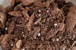 BIOVITA ORKIDÉSUBSTRAT 3L