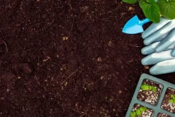 Sale BIOVITA SURT TORV för blåbär och syraälskande växter pH 3,5-4,5 50L Jord & Sand