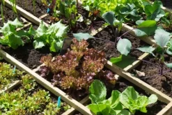 BIOVITA TRÄDGÅRDSKOMPOST 40L EKOLOGISK NATURLIG ORGANISK GÖDNINGSMEDEL
