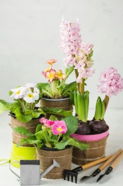 BIOVITA UNIVERSAL BLOMSTERJORD 5 LITER MED GÖDSEL