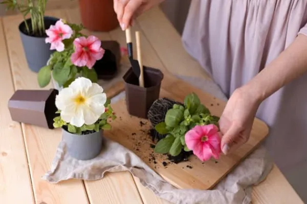 BIOVITA UNIVERSAL BLOMSTERJORD 50 LITER MED GÖDSEL