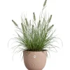 Outlet Blomkruka - ELHO - Sereh Rond 40 - Brun - Ø 39 x H 33 cm - 100% återvunnen Krukväxter Inomhus