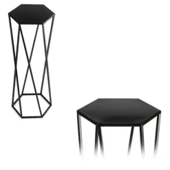 Blomstativ för växter svart 70 cm