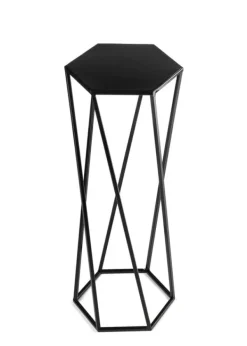 Blomstativ för växter svart 70 cm