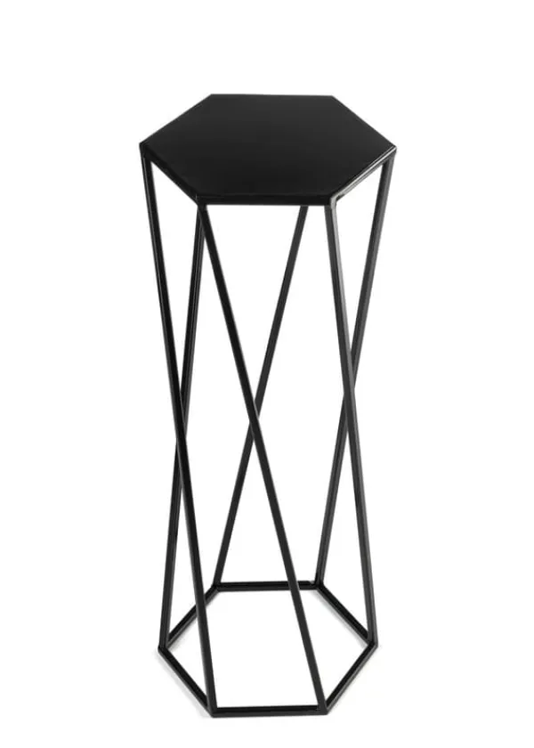 Blomstativ för växter svart 70 cm