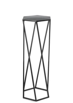 Blomstativ för växter svart 70 cm