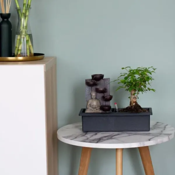 Bonsaiträd - Bonsai - Höjd 25-35cm - ⌀29cm