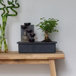 Bonsaiträd - Set om 2 - Bonsai - Höjd 25-35cm - ⌀29cm