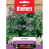 BORRAGINE FRÖN BLOMMOR TRÄDGÅRD