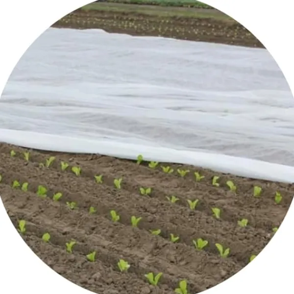 Discount Bradas agrotextil 320x1000cm 17 g/m² AWW1732010 Markduk & Fiberduk