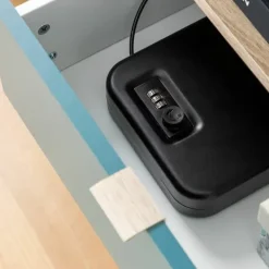 Bärbart kassaskåp med säkerhetskabel Prisaven InnovaGoods