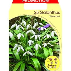 Discount BUCANEVE GALANTHUS WORONOWII (FÖRPACKNING MED 25 HÖSTLÖKAR) Fröer & Lökar