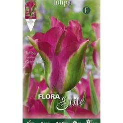 Best BULB AUTUNNALI TULIPANO GREEN LOVE FÖRPACKNING MED 7 BULBER BULBER BULBER Fröer & Lökar