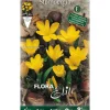 BULBERT AUTUNNALE STERNBERGIA LUTEA FÖRPACKNING MED 5 BULBER
