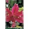 Best BULBSPRING LILIUM ORIENTAL RÖD FÖRPACKNING MED 2 BULBER Fröer & Lökar