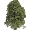 Clearance Busch 3589 Bush Summer Green Träd