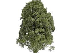 Clearance Busch 3589 Bush Summer Green Träd