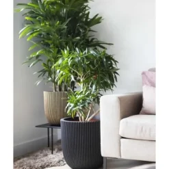 Sale CAPI EUROPE RIB NL Kulblomkruka - 43x41 cm - Svart Krukor & Växtbehållare