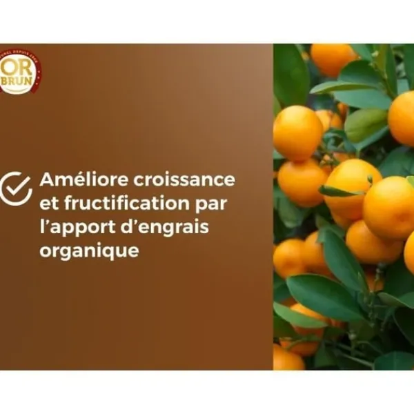 Clearance Citrus- och medelhavsjord - BRUN GULD - OBRTAGR6U - 6L - Olivträd, palmer och cycas Jord & Sand