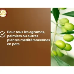 Clearance Citrus- och medelhavsjord - BRUN GULD - OBRTAGR6U - 6L - Olivträd, palmer och cycas Jord & Sand