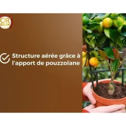 Best Citrus- och medelhavsväxter Jord - BRUNT GULD - OBRTAGR6U - 6L - Olivträd Palmer och cycas Jord & Sand
