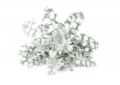 Click & Grow- Smart Garden Refill 3-pack Dusty Miller