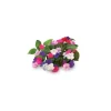Sale Click & Grow Smart Garden refill Busy Lizzie 3st Blommor
