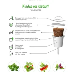 Sale Click & Grow Smart Garden refill Busy Lizzie 3st Blommor
